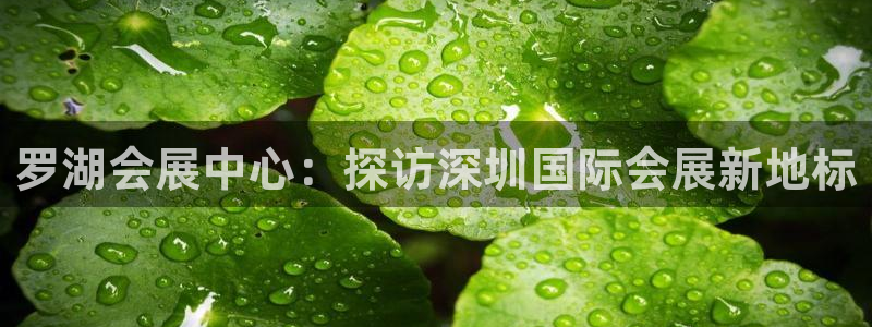 果博环保官网：罗湖会展中心：探访深圳国际会展新地标